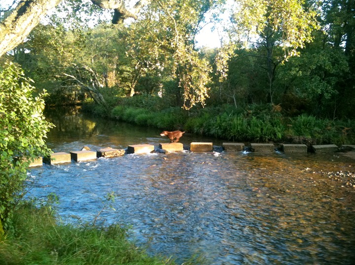 Stepping Stones at Sannox