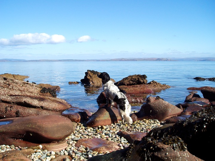 At the Fallen Rocks, North Sannox